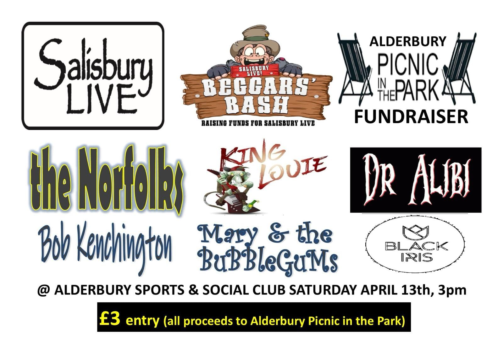 Salisbury Live at Alderbury Picnic in the Park - BEGGARS BASH: The Norfolks + King Louie + Dr Alibi + Bob Kenchington + Mary & The Bubblegums + Black Iris