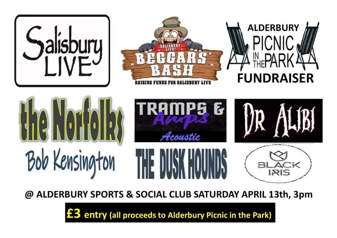 Salisbury Live at Alderbury Picnic in the Park - BEGGARS BASH: The Norfolks + Tramps &amp; Amps + Dr Alibi + Bob Kensington + The Dusk Hounds + Black Iris