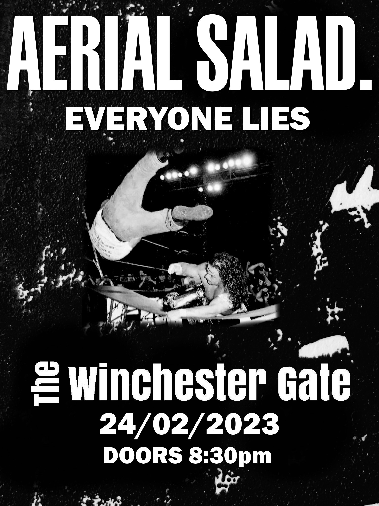 Aerial Salad. + Everyone Lies