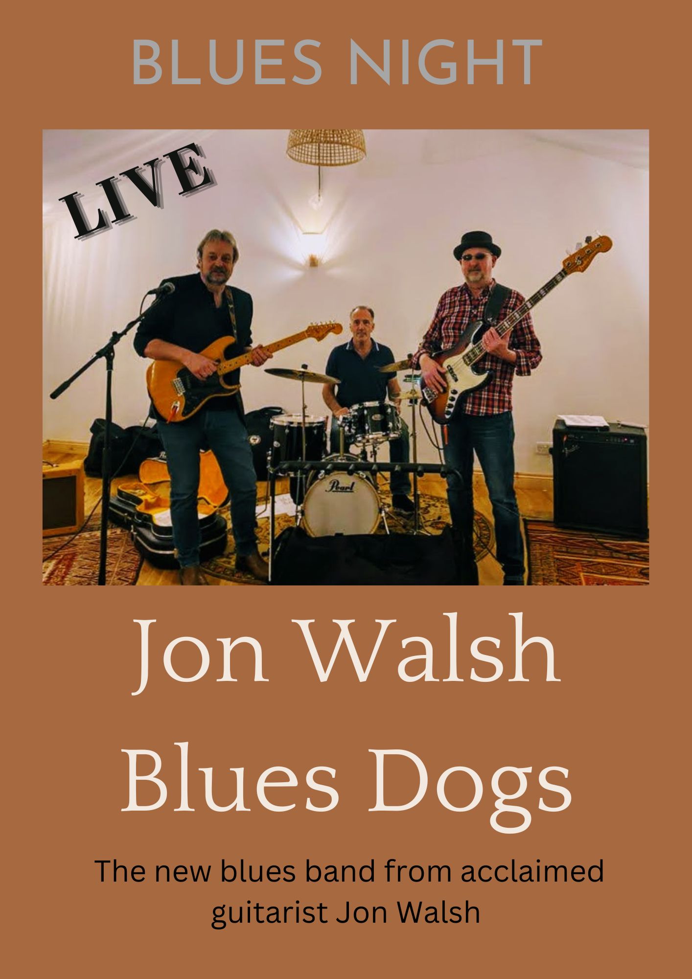 Jon Walsh Blues Dogs