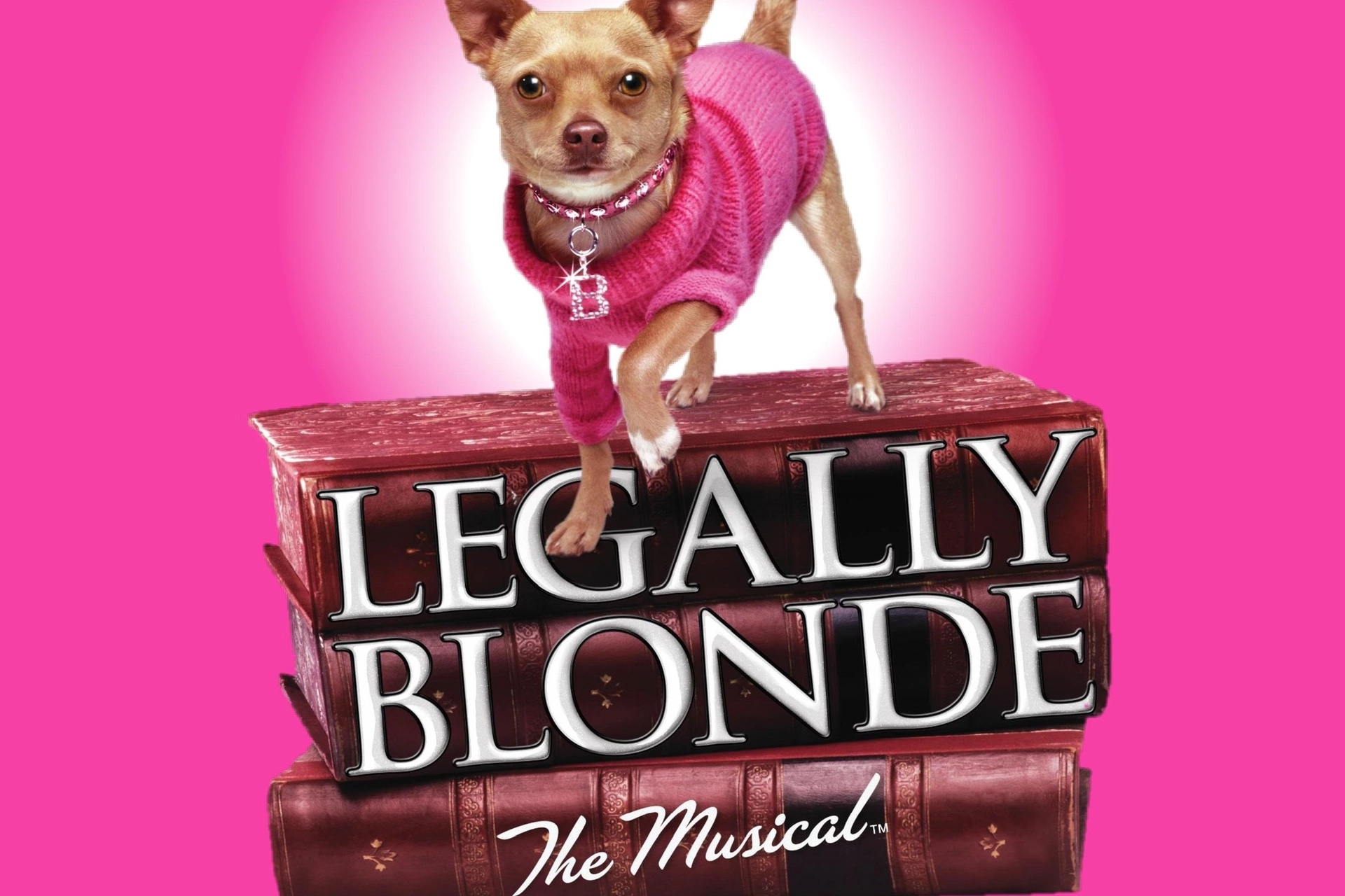 Musical Theatre Salisbury presents Legally Blonde