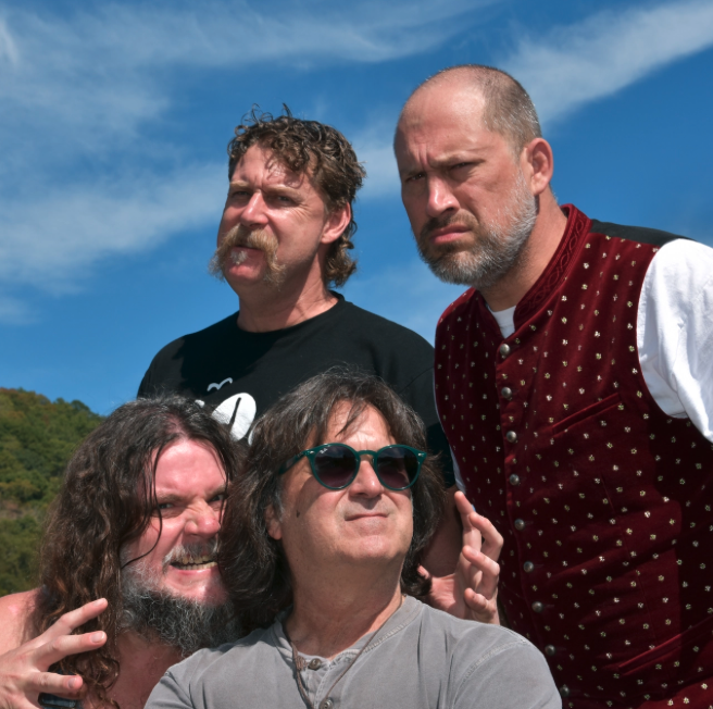 Hayseed Dixie