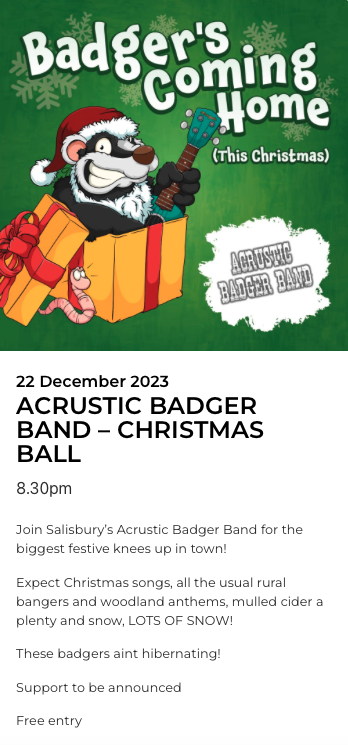ACRUSTIC BADGER BAND – CHRISTMAS BALL + Dirty Ponchos + DJ Jonno