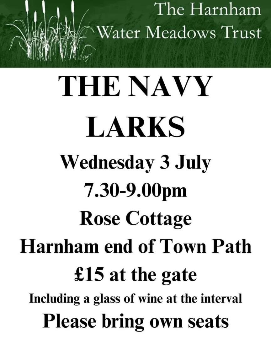The Navy Larks