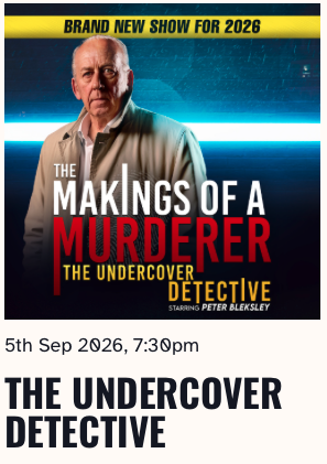 THE UNDERCOVER DETECTIVE
