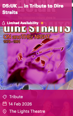 DS:UK ... in Tribute to Dire Straits