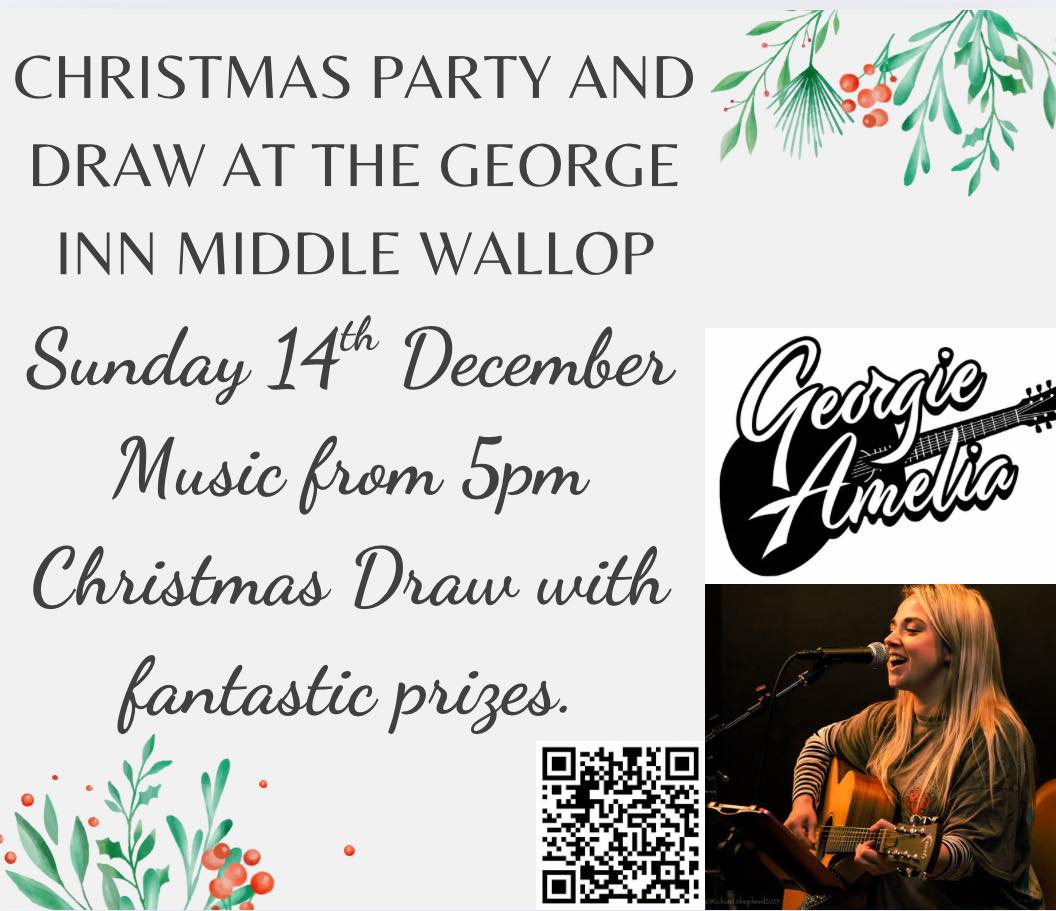 Christmas Party and Draw with live music from Georgie Amelia