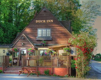 Duck Inn Duck Inn